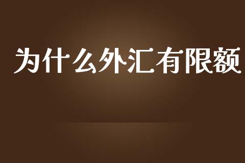 为什么外汇有限额_https://wap.jnlaobingbanjia.com_证券公告_第1张