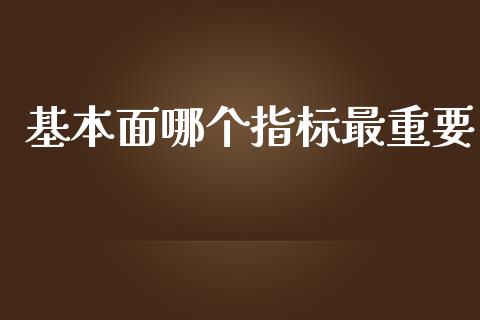 基本面哪个指标最重要_https://wap.jnlaobingbanjia.com_证券公告_第1张