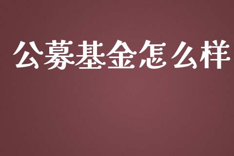 公募基金怎么样_https://wap.jnlaobingbanjia.com_基金分析_第1张