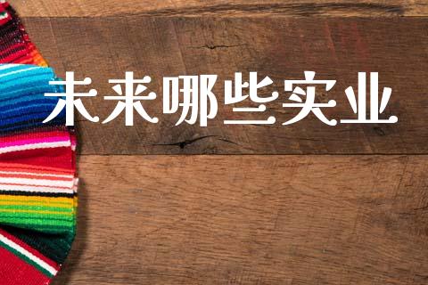 未来哪些实业_https://wap.jnlaobingbanjia.com_财务管理_第1张