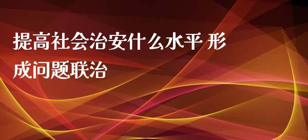 提高社会治安什么水平 形成问题联治_https://wap.jnlaobingbanjia.com_财经资讯_第1张