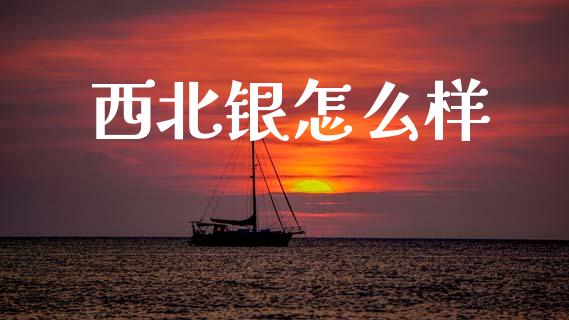 西北银怎么样_https://wap.jnlaobingbanjia.com_证券公告_第1张