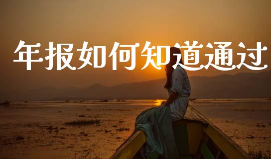 年报如何知道通过_https://wap.jnlaobingbanjia.com_金融理财_第1张
