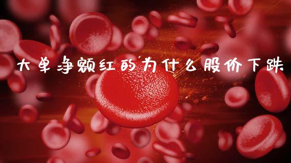 大单净额红的为什么股价下跌_https://wap.jnlaobingbanjia.com_证券公告_第1张