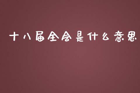 十八届全会是什么意思_https://wap.jnlaobingbanjia.com_金融理财_第1张
