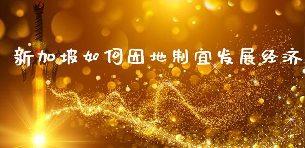 新加坡如何因地制宜发展经济_https://wap.jnlaobingbanjia.com_财经资讯_第1张