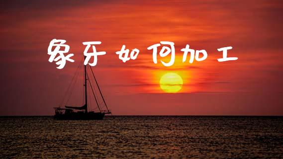 象牙如何加工_https://wap.jnlaobingbanjia.com_证券公告_第1张