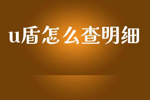 u盾怎么查明细_https://wap.jnlaobingbanjia.com_股市行情_第1张