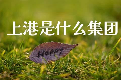 上港是什么集团_https://wap.jnlaobingbanjia.com_基金分析_第1张