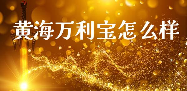 黄海万利宝怎么样_https://wap.jnlaobingbanjia.com_金融理财_第1张