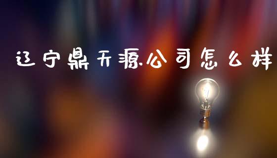 辽宁鼎天源公司怎么样_https://wap.jnlaobingbanjia.com_财经资讯_第1张