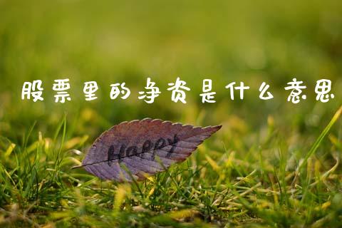股票里的净资是什么意思_股市行情_第1张_财经资讯_股市行情_财务管理_金融理财 股票里的净资是什么意思_https://wap.jnlaobingbanjia.com_股市行情_第1张