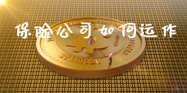 保险公司如何运作_https://wap.jnlaobingbanjia.com_财经资讯_第1张