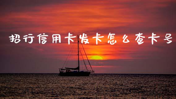 招行信用卡发卡怎么查卡号_https://wap.jnlaobingbanjia.com_基金分析_第1张
