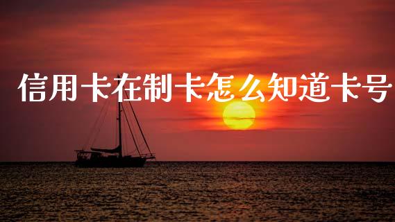 信用卡在制卡怎么知道卡号_https://wap.jnlaobingbanjia.com_金融理财_第1张