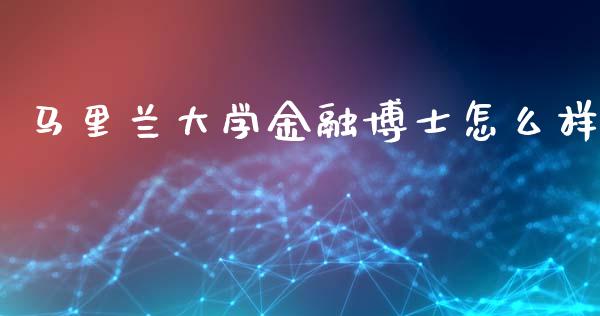 马里兰大学金融博士怎么样_https://wap.jnlaobingbanjia.com_金融理财_第1张