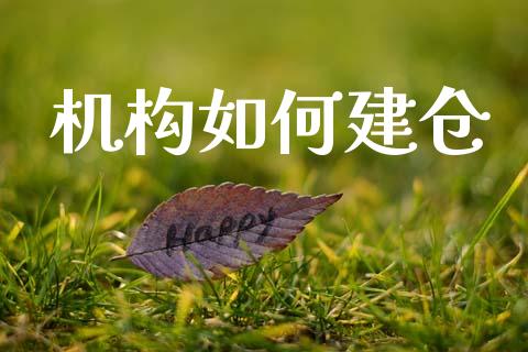 机构如何建仓_https://wap.jnlaobingbanjia.com_财经资讯_第1张