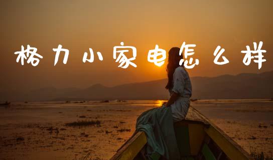 格力小家电怎么样_https://wap.jnlaobingbanjia.com_金融理财_第1张