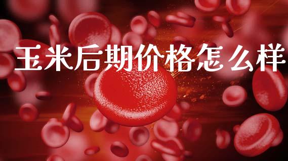 玉米后期价格怎么样_https://wap.jnlaobingbanjia.com_证券公告_第1张