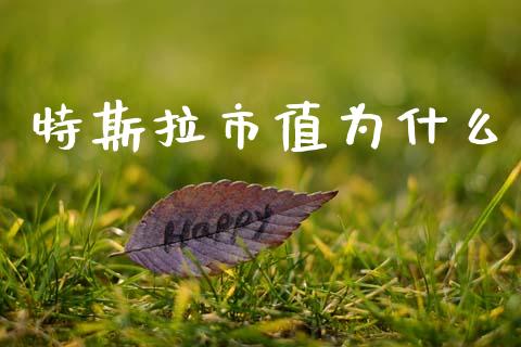 特斯拉市值为什么_https://wap.jnlaobingbanjia.com_股市行情_第1张