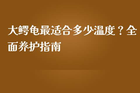 大鳄龟最适合多少温度？全面养护指南_https://wap.jnlaobingbanjia.com_财务管理_第1张