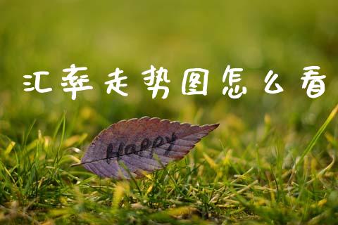 汇率走势图怎么看_https://wap.jnlaobingbanjia.com_证券公告_第1张