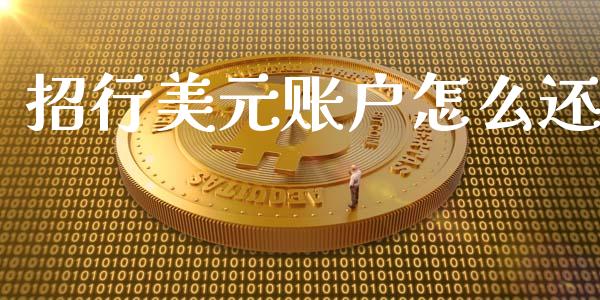 招行美元账户怎么还_https://wap.jnlaobingbanjia.com_财经资讯_第1张