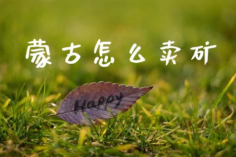 蒙古怎么卖矿_https://wap.jnlaobingbanjia.com_财经资讯_第1张