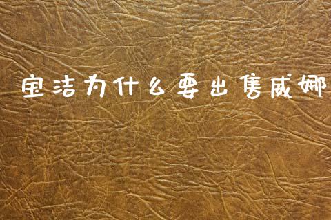 宝洁为什么要出售威娜_https://wap.jnlaobingbanjia.com_证券公告_第1张