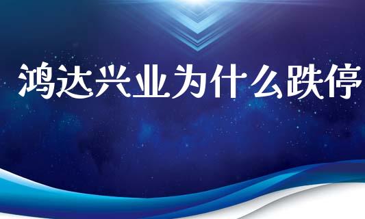 鸿达兴业为什么跌停_https://wap.jnlaobingbanjia.com_财务管理_第1张