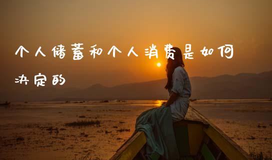 个人储蓄和个人消费是如何决定的_https://wap.jnlaobingbanjia.com_财经资讯_第1张