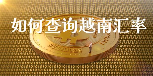 如何查询越南汇率_https://wap.jnlaobingbanjia.com_股市行情_第1张