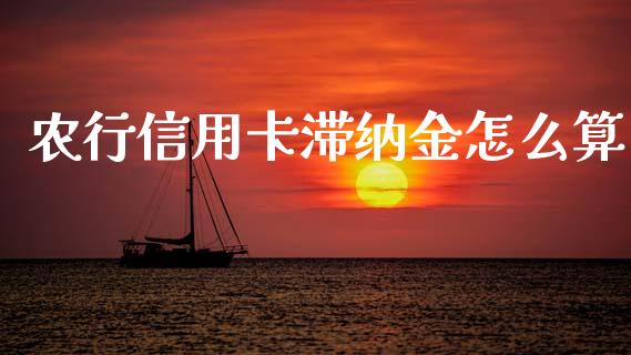 农行信用卡滞纳金怎么算_https://wap.jnlaobingbanjia.com_财经资讯_第1张