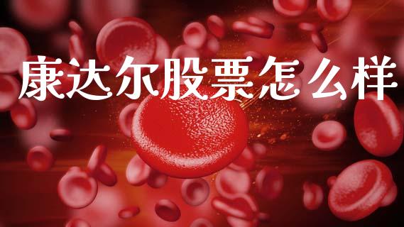康达尔股票怎么样_https://wap.jnlaobingbanjia.com_基金分析_第1张