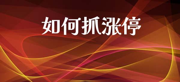 如何抓涨停_https://wap.jnlaobingbanjia.com_股市行情_第1张