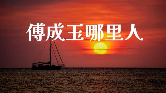 傅成玉哪里人_https://wap.jnlaobingbanjia.com_证券公告_第1张