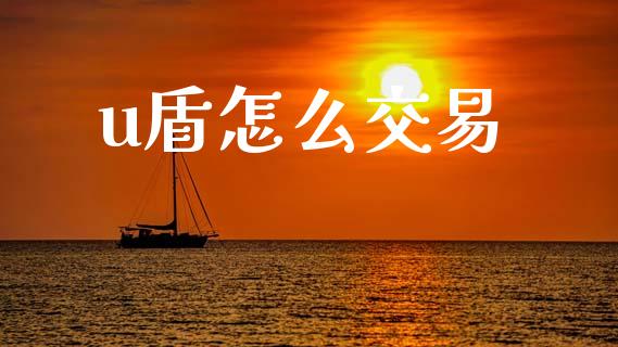 u盾怎么交易_https://wap.jnlaobingbanjia.com_金融理财_第1张