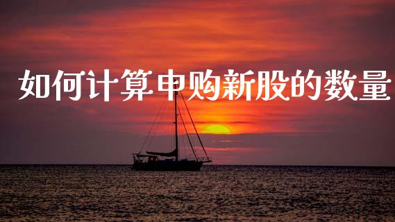 如何计算申购新股的数量_https://wap.jnlaobingbanjia.com_股市行情_第1张