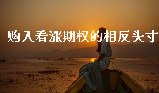 购入看涨期权的相反头寸_https://wap.jnlaobingbanjia.com_财务管理_第1张
