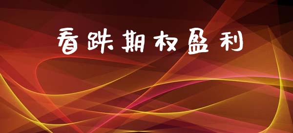 看跌期权盈利_https://wap.jnlaobingbanjia.com_财务管理_第1张