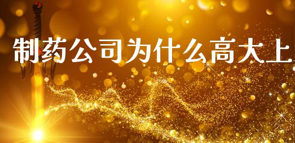 制药公司为什么高大上_https://wap.jnlaobingbanjia.com_证券公告_第1张