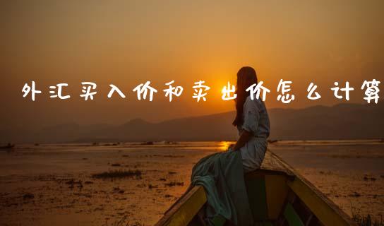 外汇买入价和卖出价怎么计算_https://wap.jnlaobingbanjia.com_股市行情_第1张