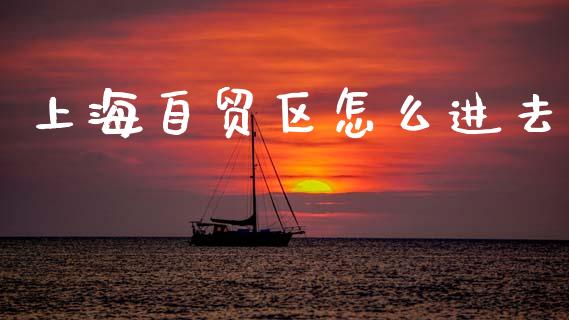 上海自贸区怎么进去_https://wap.jnlaobingbanjia.com_证券公告_第1张