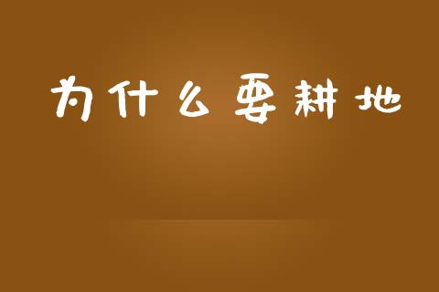 为什么要耕地_https://wap.jnlaobingbanjia.com_财经资讯_第1张