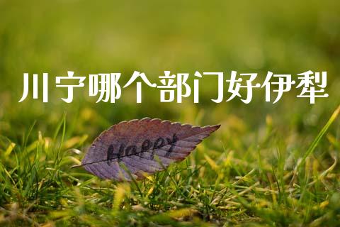 川宁哪个部门好伊犁_https://wap.jnlaobingbanjia.com_证券公告_第1张