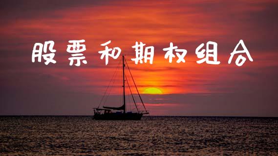 股票和期权组合_https://wap.jnlaobingbanjia.com_股市行情_第1张