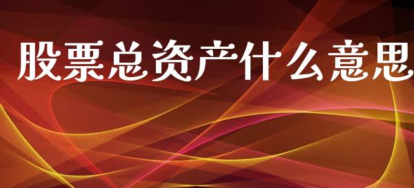 股票总资产什么意思_https://wap.jnlaobingbanjia.com_证券公告_第1张