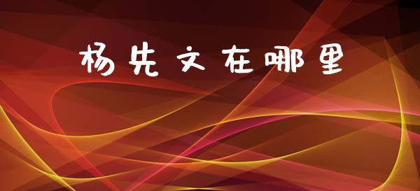 杨先文在哪里_https://wap.jnlaobingbanjia.com_股市行情_第1张