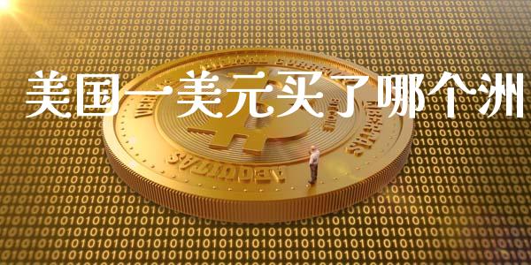 美国一美元买了哪个洲_https://wap.jnlaobingbanjia.com_证券公告_第1张