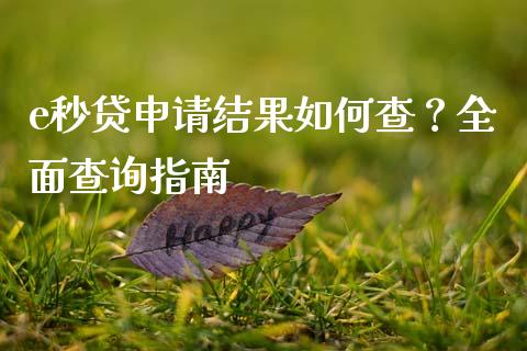 e秒贷申请结果如何查？全面查询指南_https://wap.jnlaobingbanjia.com_证券公告_第1张